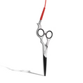TCC The Care Cut